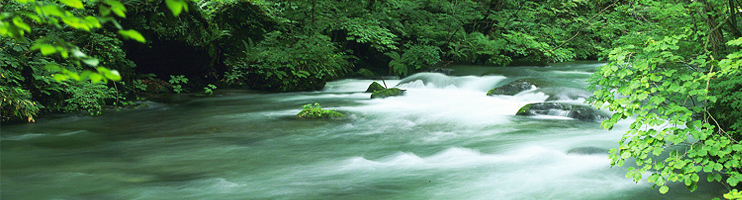 佐久穂町の風景